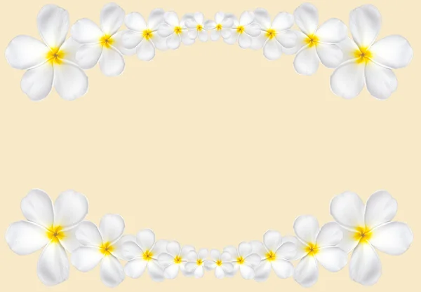 Πλαίσιο λουλουδιών Φραντζιπάνι απομονώνονται σε λευκό φόντο με αντίγραφο s — Φωτογραφία Αρχείου