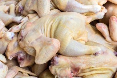 Çiğ tavuk hazır olmak hazır .