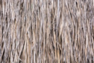 Alan bulanıklık saz çatı arka plan