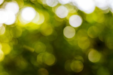 Doğadan soyut bokeh arka plan