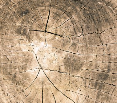 ahşap dokusu / ahşap dokusu arkaplanı