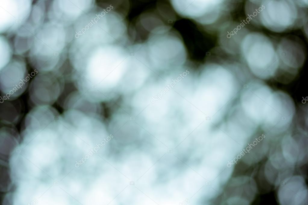 Abstract bokeh background from nature