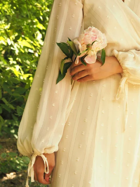 Квіти Півонії Рожевий Білий Ніжність Милий Жінка Дівчата — стокове фото