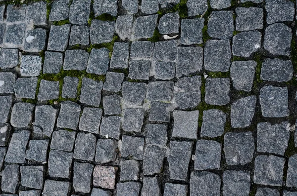 Geometri desen arka planını kaldırım taşı kaldırım moss ile 