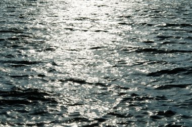 Doku yapraklara yansıtan sakinleştirmek güneş benekli nehir su