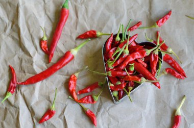 Vintage kağıt arka plan üzerinde sıcak kırmızı biber biber