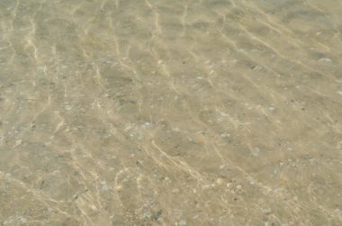 Berrak deniz suyu öğlen güneşin altında köpüklü dalgaların. Sakinleştirmek su alt kum ve su altında görülen kabukları ile