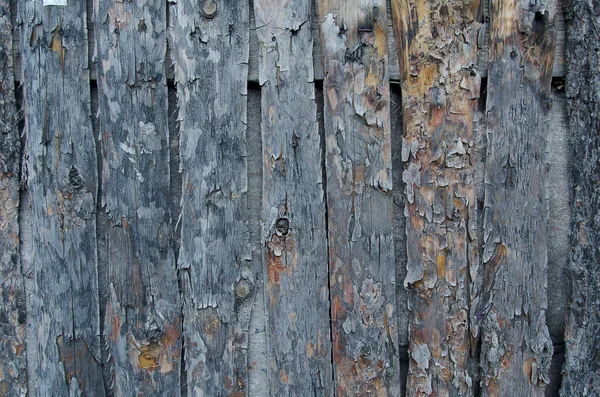 Timber fence — Stock Photo, Image