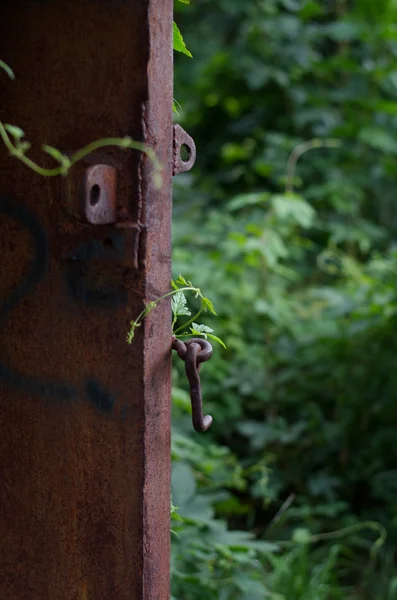 Puertas de hierro para el verano — Foto de Stock