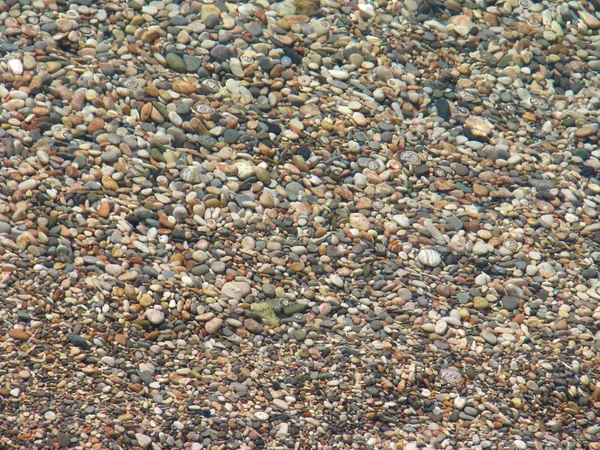 Laut dan batu — Stok Foto