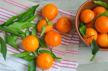 Tuval arka plan üzerinde olgunlaşmış mandalina