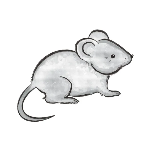 Сіра Маленька Мишка Білому Тлі — стокове фото