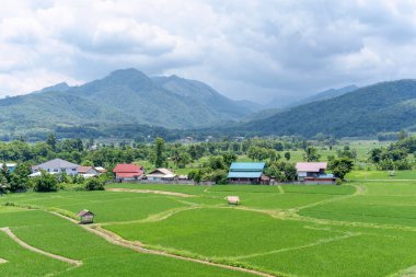 Yeşil pirinç tarlası, mavi gökyüzü, güzel beyaz bulutlar ve dağ zeminiyle kırsal manzara. Kış posteri için sade bir manzara. Tatilin en güzel manzarası..
