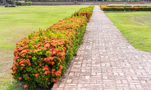 Kırmızı çiçekler ve yeşil çimlerle bahçede yürümek için tuğla ve çimentodan yapılmış yaya yoluna seçici bir şekilde odaklan. Doğa arka planı ve barış kavramı