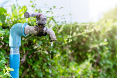 Eski bir musluğun ya da su sızıntısı olan yeşil arka planda bir musluğun yakın plan görüntüsü - su korunumu ya da tasarruf kavramı