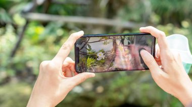 Akıllı telefonu tutarak ellerinizi kapatın. Fotoğraf çiçekleri ve doğa alın. Çiçeklerini bahçede cep telefonuyla çeken kadın ellerine odaklan. Yaşam tarzı kavramı