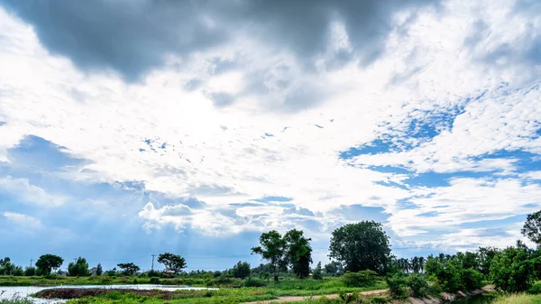 Beautiful light in dark and dramatic storm clouds after rain. Field of green plant and pond over dramatic blue sky. Nature and clouds sky landscape, Dramatic impressive background, relaxation concept