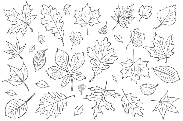 Векторное Рисование Осенних Листьев — стоковый вектор
