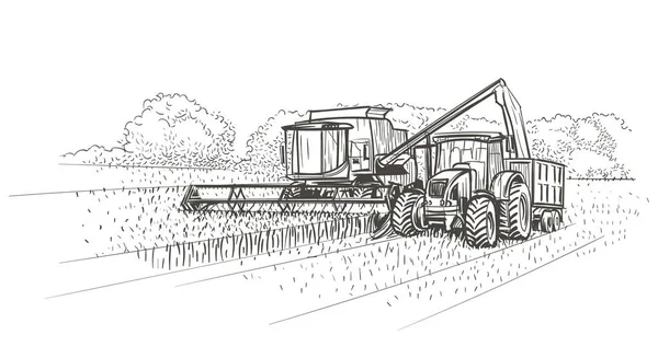 Combineer Harvester Tractor Aan Het Werk Het Veld Vector — Stockvector