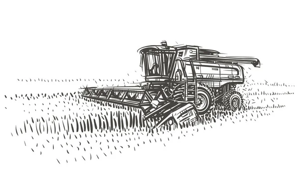 Combiner Moissonneuse Batteuse Travail Dans Illustration Croquis Sur Terrain Vecteur — Image vectorielle