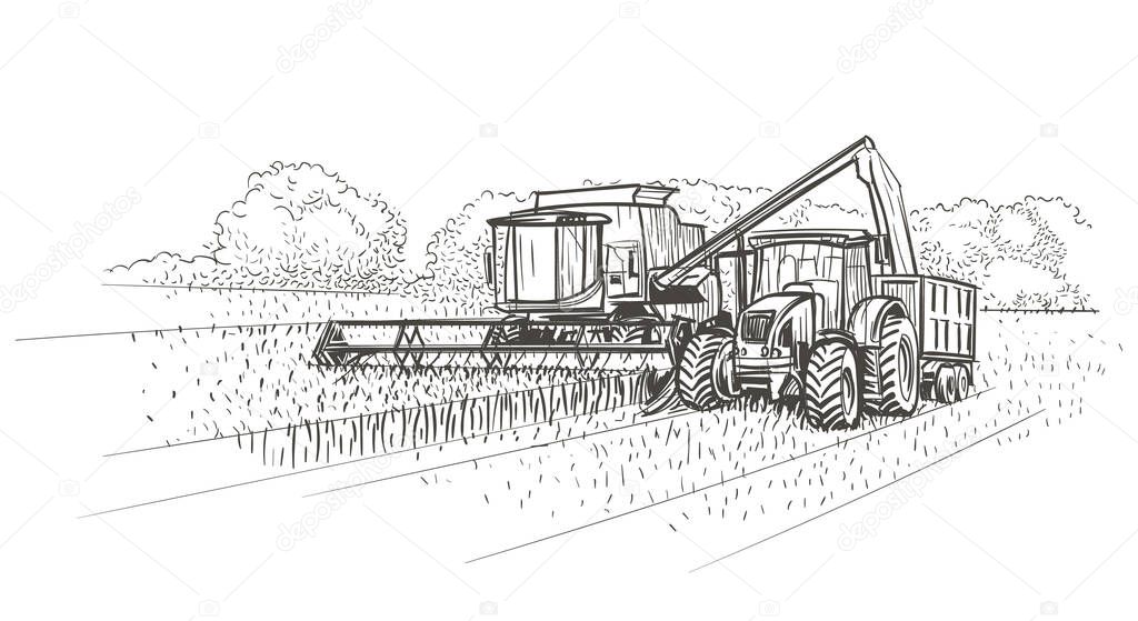 Combine Harvester and Tractor at work on the field. Vector.