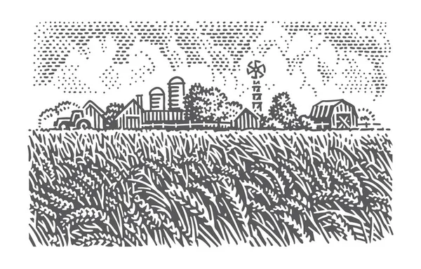 Wheatfield Perto Fazendas Celeiros Ilustração Vetorial Monocromática — Vetor de Stock