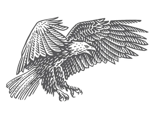 Águila Calva Eleva Ilustración Monocromática Del Aire Aislado Vector — Vector de stock