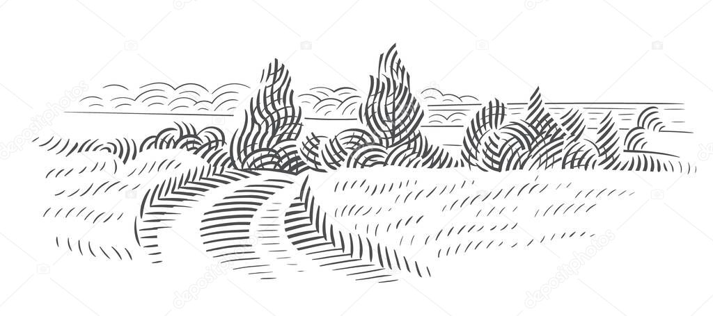 Road in field sketch. Farmland line illustration, natural landscape. Vector, isolated.