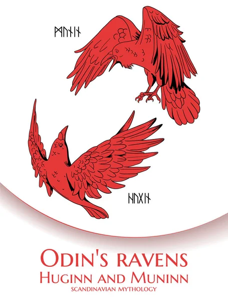 Odin Kuzgunlarıyla Kırmızı Siyah Beyaz Çizim — Stok Vektör