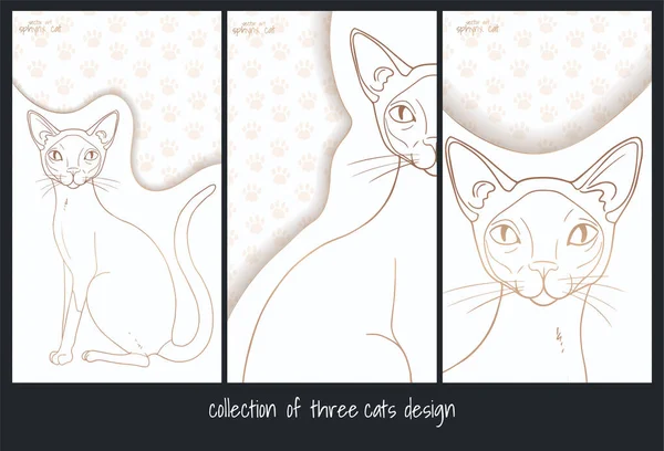 Collection Three Design Siamese Cat White Gold — Stock Vector