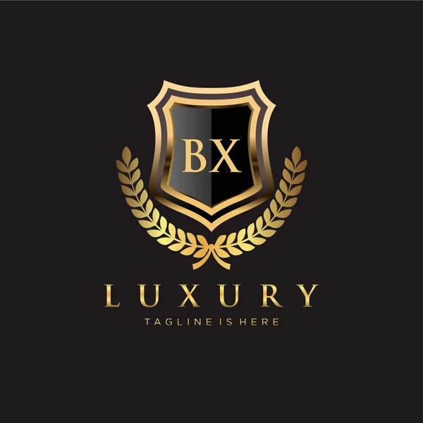 Brev Innledende Med Royal Luxury Logo Template – stockvektor
