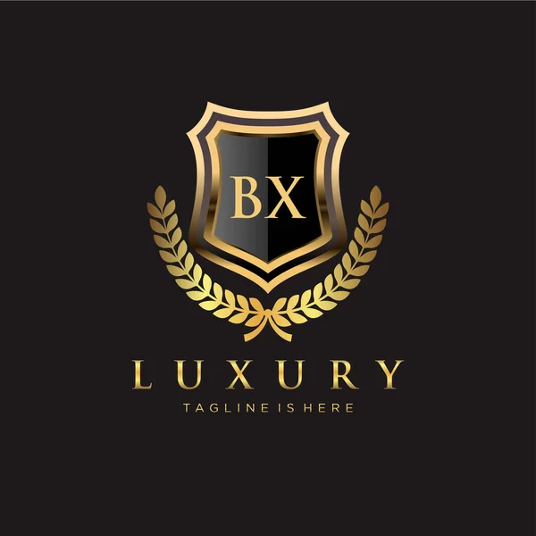 Letter Initiaal Met Royal Luxury Logo Template — Stockvector