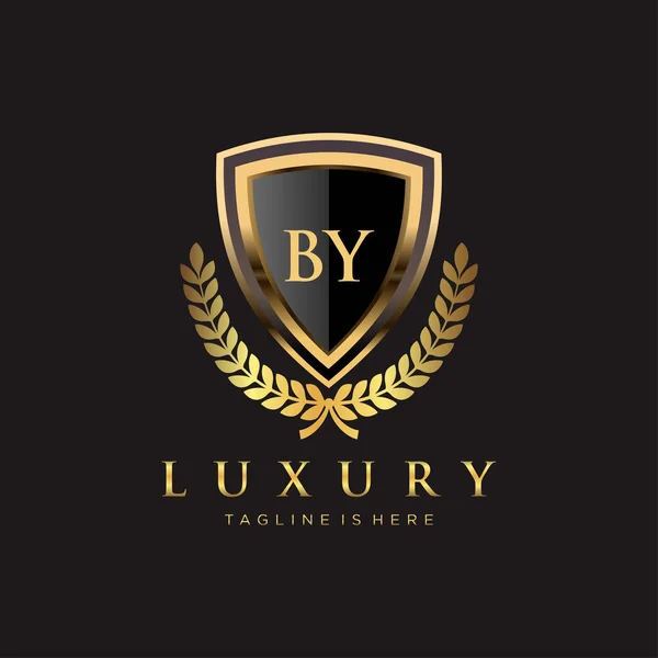 Von Buchstabe Initial Mit Royal Luxury Logo Template — Stockvektor