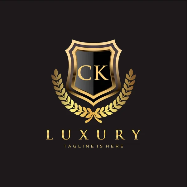 Brev Innledende Med Royal Luxury Logo Template – stockvektor