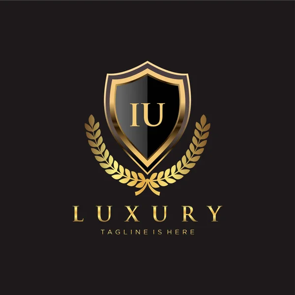 Carta Inicial Com Modelo Real Logotipo Luxo — Vetor de Stock