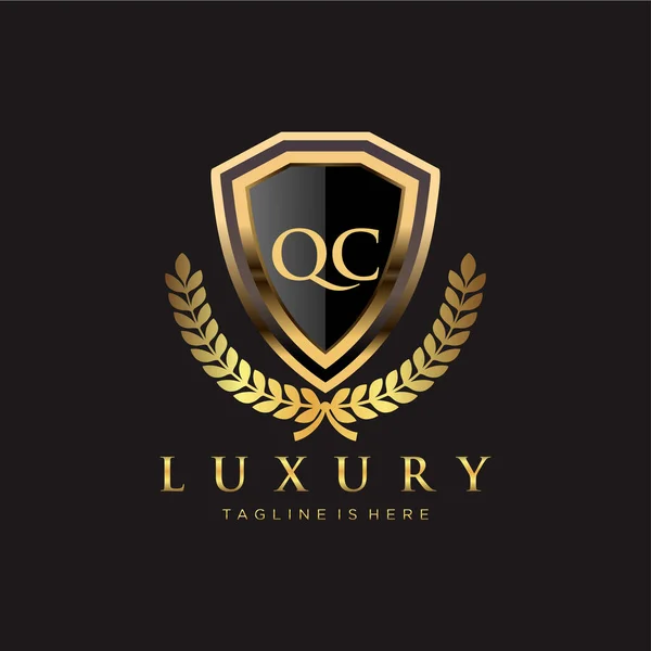 Letter Initieel Met Royal Luxury Logo Template — Stockvector