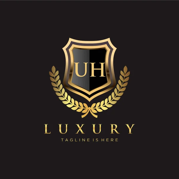 Lettre Initiale Avec Modèle Logo Luxe Royal — Image vectorielle