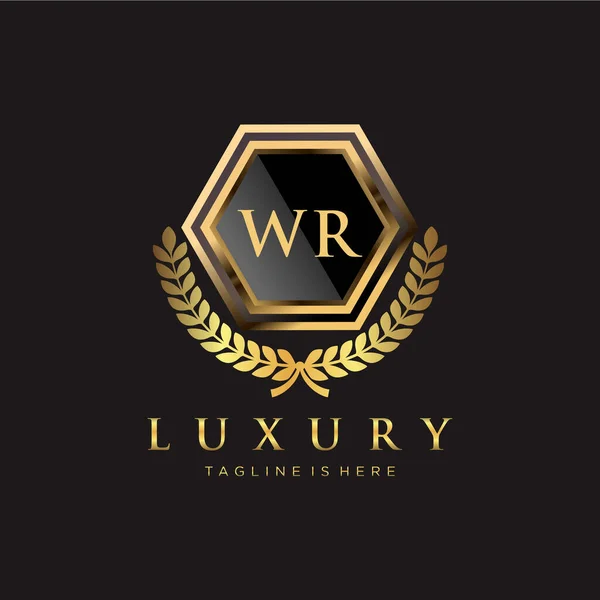 Carta Inicial Com Modelo Logotipo Luxo Real —  Vetores de Stock