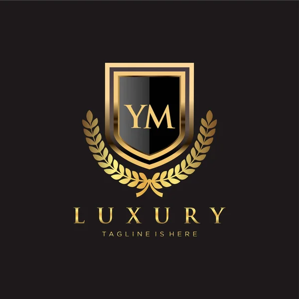 Letter Initial Royal Luxury Logo Template — Stock Vector