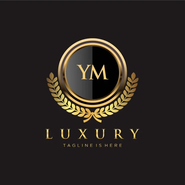 Brev Inledande Med Royal Luxury Logo Mall — Stock vektor