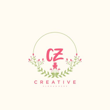 cz Beauty vektör ilk logo, el yazısı sanat tasarımı imza, düğün, moda, mücevher, butik, çiçek ve botanik herhangi bir şirket veya işletme için yaratıcı şablon ile.