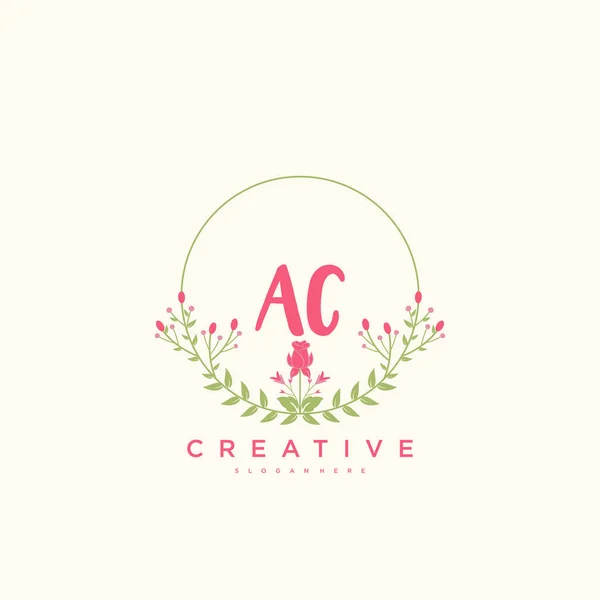 Logo Inicial Beauty Vector Diseño Arte Logotipo Escritura Mano Firma — Vector de stock