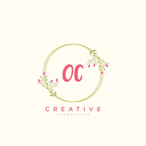 Beauty Vector Initial Logo Handwriting Logo Art Design Initial Signature — Stock Vector