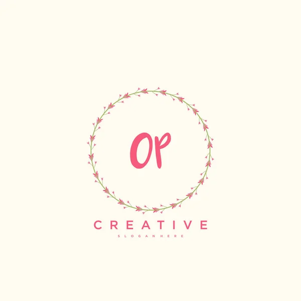 Beauty Vector Initial Logo Handschrift Logo Art Design Der Initialen — Stockvektor