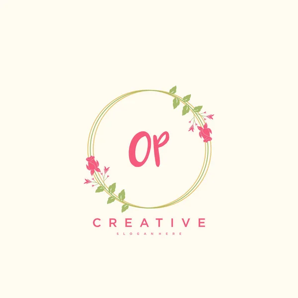 Beauty Vector Initial Logo Handschrift Logo Art Design Der Initialen — Stockvektor