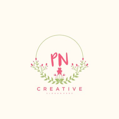 PN Güzellik Vektörü ilk logosu, ilk imzanın el yazısı sanat tasarımı, düğün, moda, mücevher, butik, çiçek ve botanik, herhangi bir şirket veya işletme için yaratıcı şablona sahip..