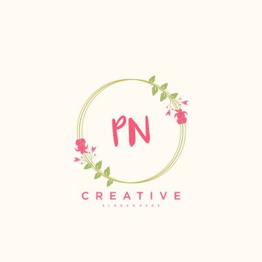 PN Güzellik Vektörü ilk logosu, ilk imzanın el yazısı sanat tasarımı, düğün, moda, mücevher, butik, çiçek ve botanik, herhangi bir şirket veya işletme için yaratıcı şablona sahip..