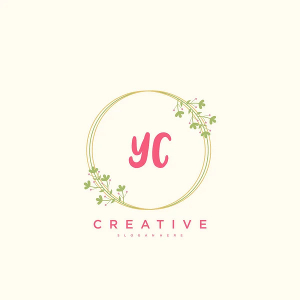 Beauty Vector Initial Logo Handwriting Logo Art Design Initial Signature — Stock Vector