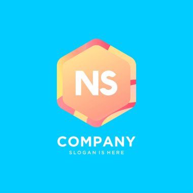 Renkli şablon vektörlü NS başlangıç logosu.