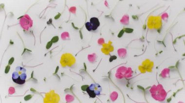 Patlayan güzel çiçekler yaratıcı mikro yeşil taç yaprağı aşkı pembe